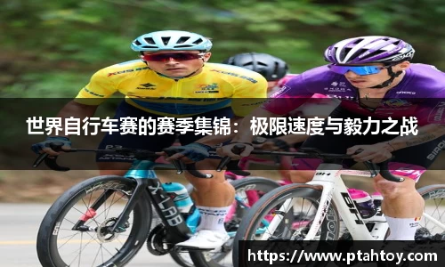 4008云顶官网